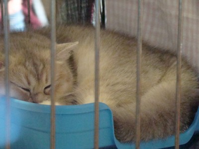 20121021_134 (Expo)